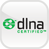 icon - DLNA